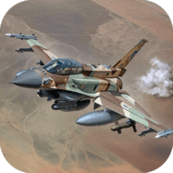 Ace Fighter