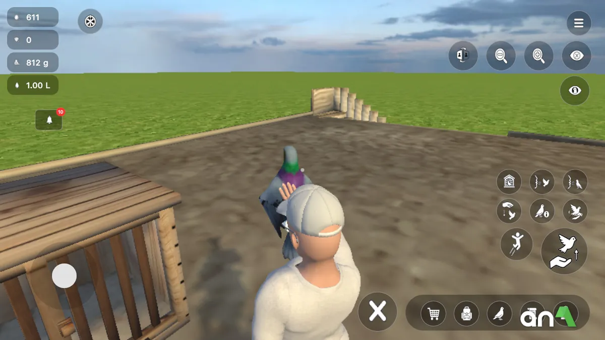Pigeon Paradise screenshot 4